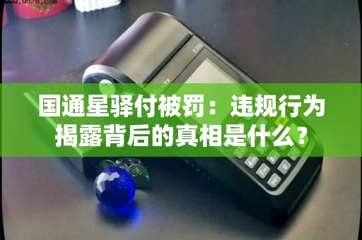 国通星驿付被罚：违规行为揭露背后的真相是什么？