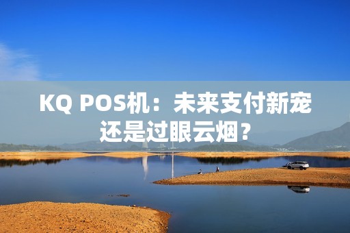 KQ POS机：未来支付新宠还是过眼云烟？