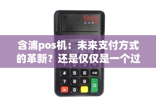 含浦pos机：未来支付方式的革新？还是仅仅是一个过渡阶段？
