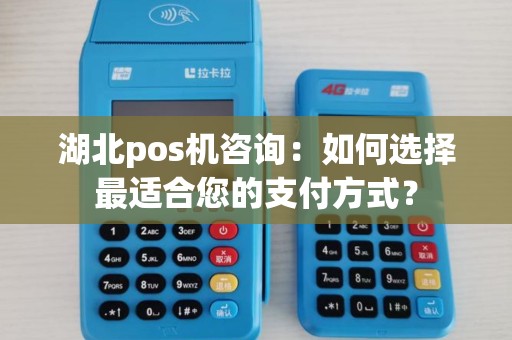 湖北pos机咨询：如何选择最适合您的支付方式？