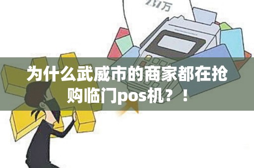 为什么武威市的商家都在抢购临门pos机？！