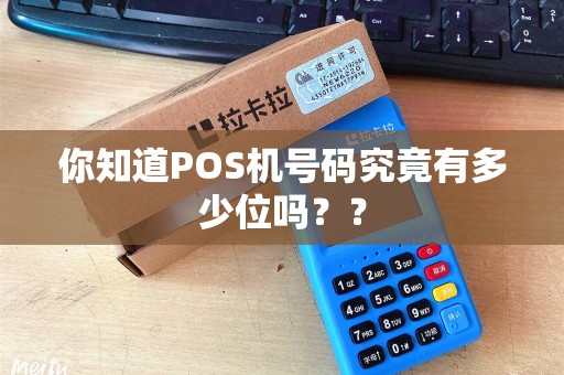 你知道POS机号码究竟有多少位吗？？