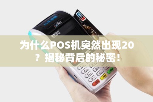 为什么POS机突然出现20？揭秘背后的秘密！