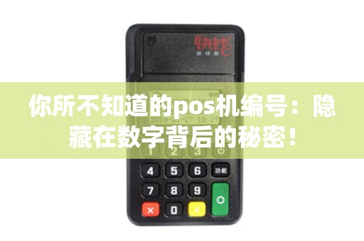 你所不知道的pos机编号：隐藏在数字背后的秘密！