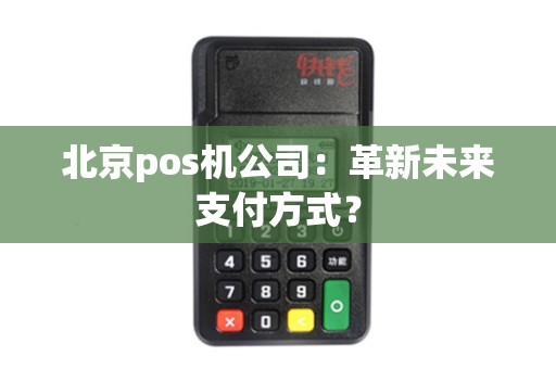北京pos机公司：革新未来支付方式？
