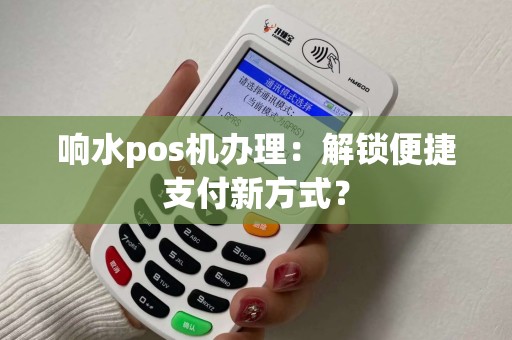 响水pos机办理：解锁便捷支付新方式？