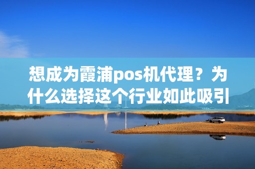 想成为霞浦pos机代理？为什么选择这个行业如此吸引人？
