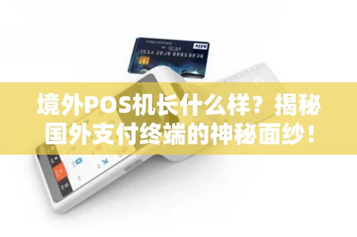 境外POS机长什么样？揭秘国外支付终端的神秘面纱！