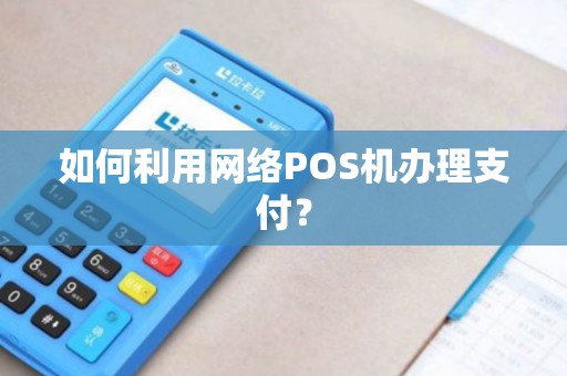 如何利用网络POS机办理支付？