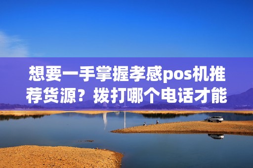 想要一手掌握孝感pos机推荐货源？拨打哪个电话才能得到最佳建议？