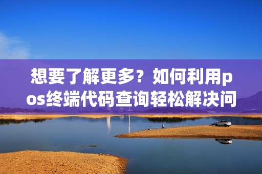 想要了解更多？如何利用pos终端代码查询轻松解决问题！