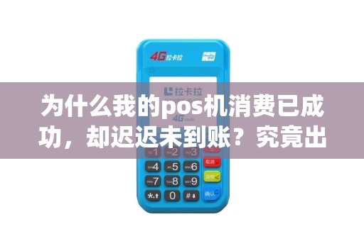 为什么我的pos机消费已成功，却迟迟未到账？究竟出了什么问题？