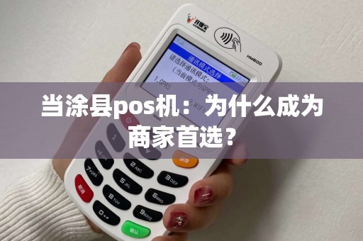 当涂县pos机：为什么成为商家首选？