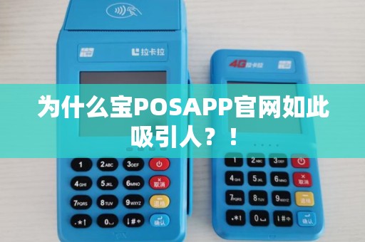 为什么宝POSAPP官网如此吸引人？！