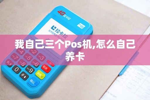 我自己三个Pos机,怎么自己养卡
