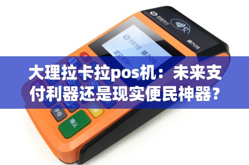 大理拉卡拉pos机：未来支付利器还是现实便民神器？