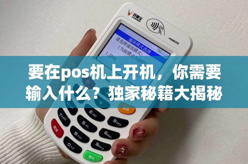 要在pos机上开机，你需要输入什么？独家秘籍大揭秘！