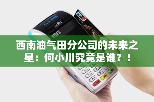 西南油气田分公司的未来之星：何小川究竟是谁？！