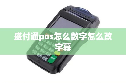 盛付通pos怎么数字怎么改字幕