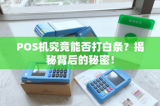 POS机究竟能否打白条？揭秘背后的秘密！