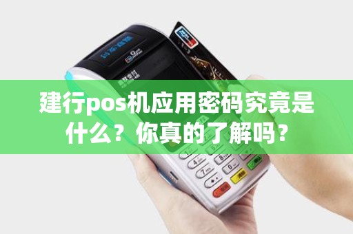 建行pos机应用密码究竟是什么？你真的了解吗？