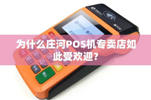 为什么庄河POS机专卖店如此受欢迎？