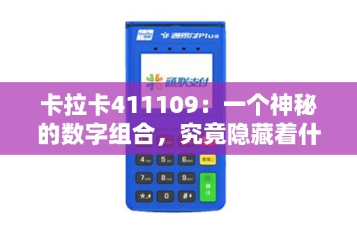 卡拉卡411109：一个神秘的数字组合，究竟隐藏着什么秘密？
