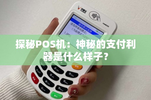 探秘POS机：神秘的支付利器是什么样子？