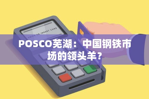 POSCO芜湖：中国钢铁市场的领头羊？