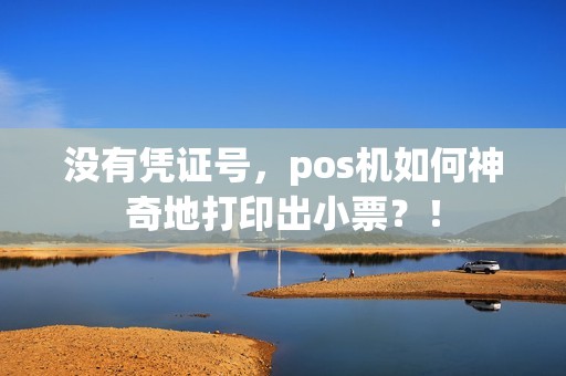 没有凭证号，pos机如何神奇地打印出小票？！