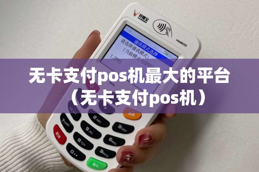 无卡支付pos机最大的平台（无卡支付pos机）