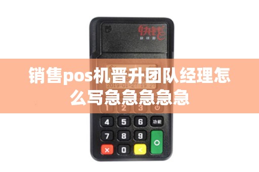 销售pos机晋升团队经理怎么写急急急急急