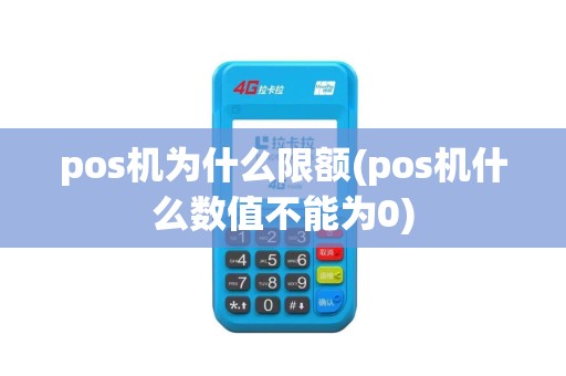 pos机为什么限额(pos机什么数值不能为0)