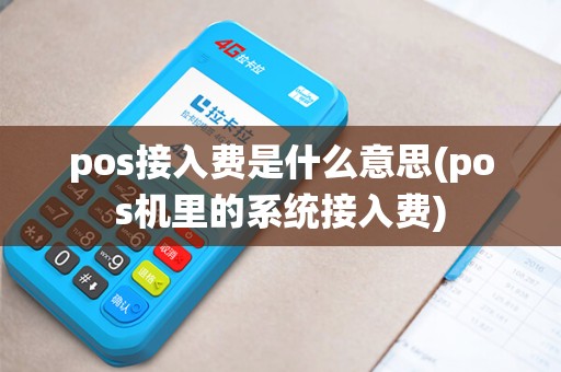 pos接入费是什么意思(pos机里的系统接入费)