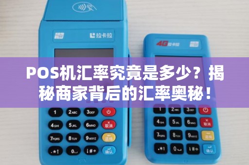 POS机汇率究竟是多少？揭秘商家背后的汇率奥秘！