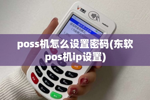 poss机怎么设置密码(东软pos机ip设置)