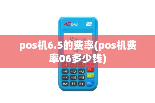 pos机6.5的费率(pos机费率06多少钱)