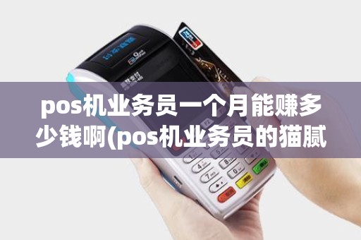 pos机业务员一个月能赚多少钱啊(pos机业务员的猫腻)