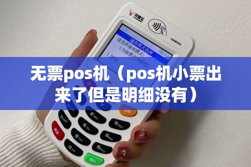 无票pos机（pos机小票出来了但是明细没有）