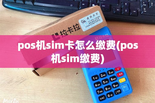 pos机sim卡怎么缴费(pos机sim缴费)