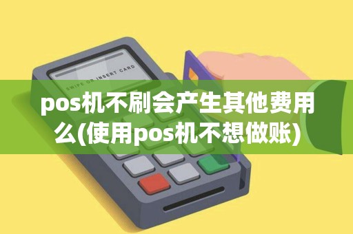 pos机不刷会产生其他费用么(使用pos机不想做账)