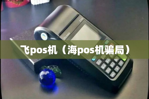 飞pos机（海pos机骗局）