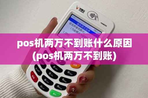 pos机两万不到账什么原因(pos机两万不到账)