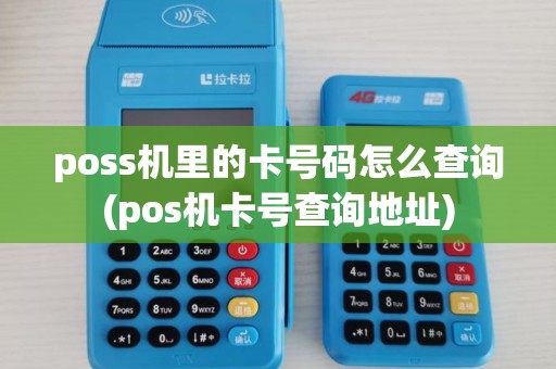 poss机里的卡号码怎么查询(pos机卡号查询地址)