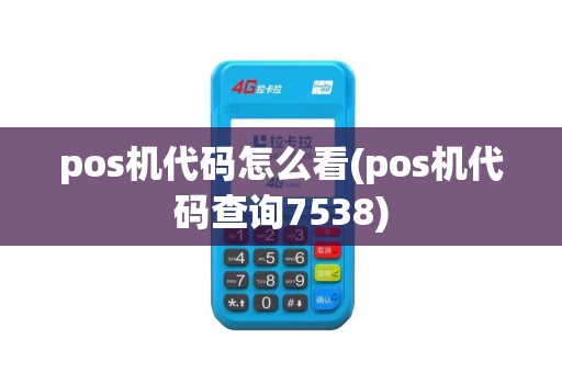 pos机代码怎么看(pos机代码查询7538)