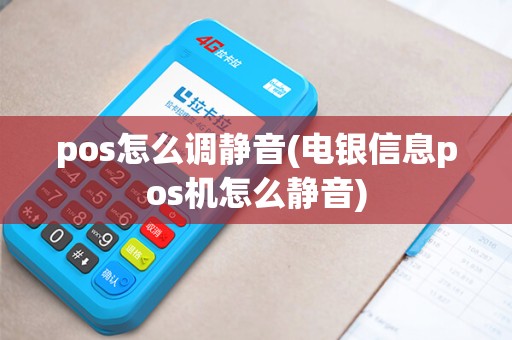 pos怎么调静音(电银信息pos机怎么静音)