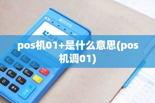 pos机01+是什么意思(pos机调01)