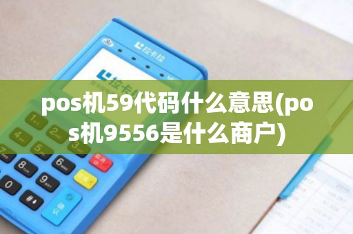 pos机59代码什么意思(pos机9556是什么商户)