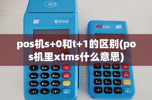pos机s+0和t+1的区别(pos机里xtms什么意思)