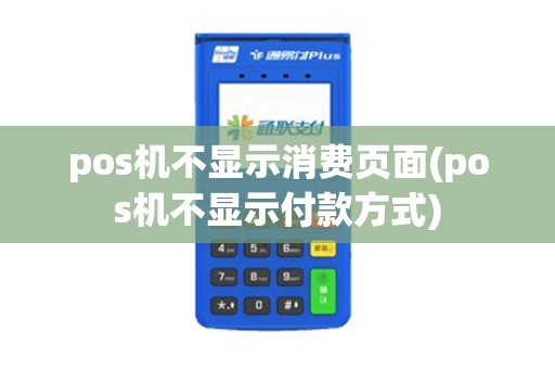 pos机不显示消费页面(pos机不显示付款方式)